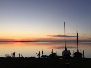 7_320285_298f4c282f.JPG